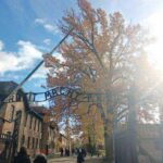 MUZEUM AUSCHWITZ – BIRKENAU